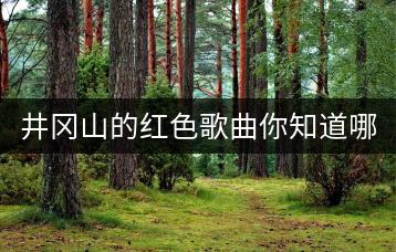 井冈山的红色歌曲你知道哪些？-千羽学社