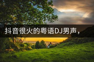 抖音很火的粤语DJ男声，有哪些热门歌曲？-千羽学社
