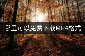 哪里可以免费下载MP4格式的歌曲？-千羽学社
