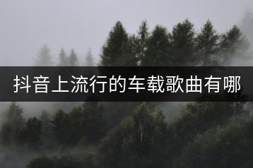 抖音上流行的车载歌曲有哪些？-千羽学社