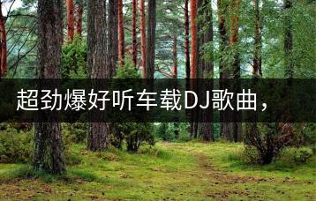 超劲爆好听车载DJ歌曲，如何选择适合的U盘？-千羽学社
