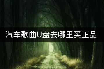 汽车歌曲U盘去哪里买正品？-千羽学社