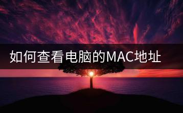 如何查看电脑的MAC地址？网络诊断工具介绍。-千羽学社