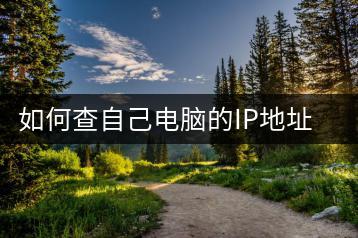 如何查自己电脑的IP地址？网络诊断工具介绍。-千羽学社