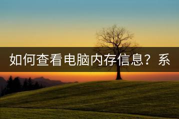 如何查看电脑内存信息？系统信息工具介绍。-千羽学社