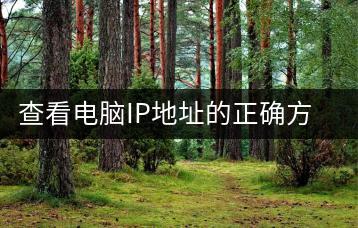 查看电脑IP地址的正确方法，网络故障排查指南。-千羽学社