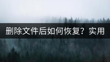 删除文件后如何恢复？实用教程分享！-千羽学社