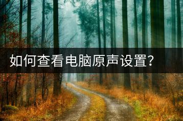 如何查看电脑原声设置？声音调整详细步骤-千羽学社