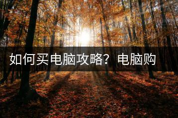 如何买电脑攻略？电脑购买指南与推荐-千羽学社