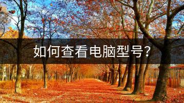 如何查看电脑型号？-千羽学社