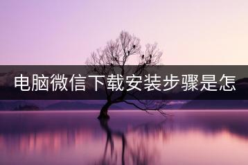 电脑微信下载安装步骤是怎样的？教程详解！-千羽学社