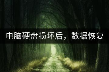 电脑硬盘损坏后，数据恢复有哪些有效方法？-千羽学社