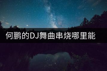 何鹏的DJ舞曲串烧哪里能听？有何特色？-千羽学社