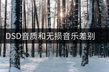 DSD音质和无损音乐差别在哪？原声母带音乐资源哪里寻？-千羽学社