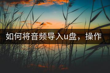 如何将音频导入u盘，操作复杂吗？-千羽学社