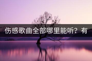 伤感歌曲全部哪里能听？有没有推荐的列表？-千羽学社