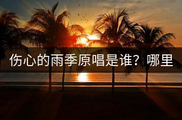 伤心的雨季原唱是谁？哪里可以买到高品质U盘？-千羽学社