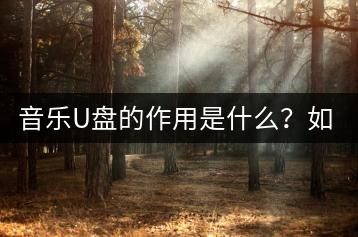 音乐U盘的作用是什么？如何选择合适的？-千羽学社