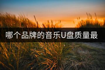 哪个品牌的音乐U盘质量最佳？-千羽学社