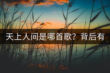 天上人间是哪首歌？背后有什么故事？-千羽学社