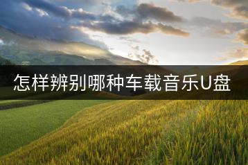 怎样辨别哪种车载音乐U盘音质好？九头鸟U盘真的可靠吗？-千羽学社