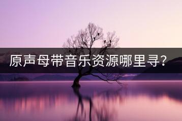 原声母带音乐资源哪里寻？高质量U盘怎么选？-千羽学社