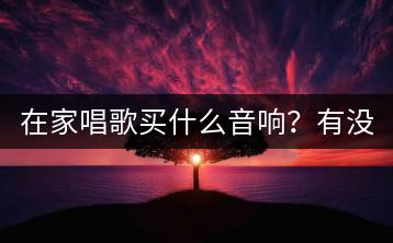 在家唱歌买什么音响？有没有好的音乐U盘推荐？-千羽学社