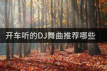 开车听的DJ舞曲推荐哪些？最好听的车载音乐分享！-千羽学社