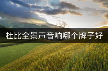 杜比全景声音响哪个牌子好？超好听双声道歌曲推荐有哪些？-千羽学社