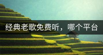 经典老歌免费听，哪个平台最全面？-千羽学社