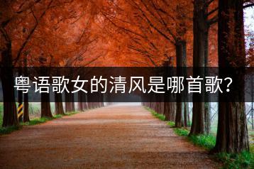 粤语歌女的清风是哪首歌？70年代好听的歌曲有哪些？-千羽学社