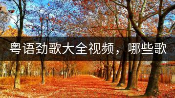 粤语劲歌大全视频，哪些歌单值得收藏？-千羽学社