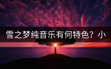 雪之梦纯音乐有何特色？小提琴轻音乐推荐哪几首？-千羽学社
