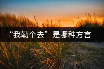 “我勒个去”是哪种方言？舒缓的纯音乐哪里可以在线听？-千羽学社
