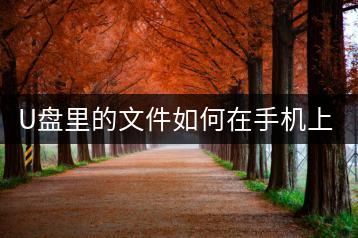 U盘里的文件如何在手机上阅读？有何技巧？-千羽学社