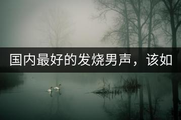 国内最好的发烧男声，该如何辨别音质？-千羽学社