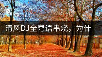 清风DJ全粤语串烧，为什么那么火？-千羽学社