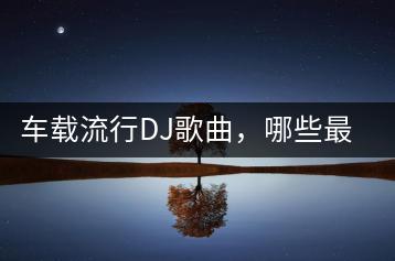 车载流行DJ歌曲，哪些最受欢迎？-千羽学社