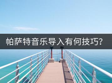 帕萨特音乐导入有何技巧？如何快速完成音乐导入？-千羽学社