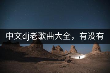 中文dj老歌曲大全，有没有好的资源？-千羽学社