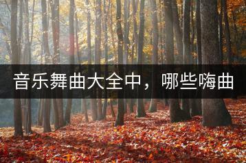 音乐舞曲大全中，哪些嗨曲最适合跳舞？-千羽学社