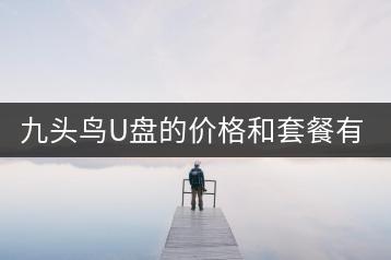 九头鸟U盘的价格和套餐有哪些选择？-千羽学社