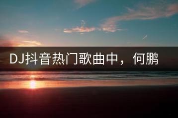 DJ抖音热门歌曲中，何鹏的舞曲哪个最佳？-千羽学社