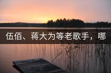 伍佰、蒋大为等老歌手，哪些歌曲最值得一听？-千羽学社