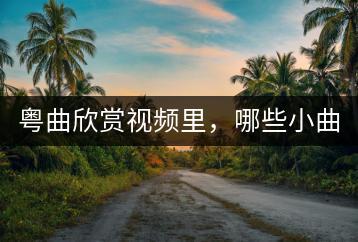 粤曲欣赏视频里，哪些小曲最受欢迎？-千羽学社