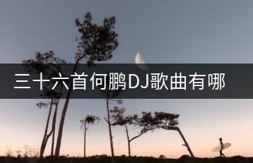 三十六首何鹏DJ歌曲有哪些？如何免费听？-千羽学社