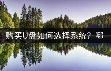 购买U盘如何选择系统？哪种系统更适合音乐存储？-千羽学社