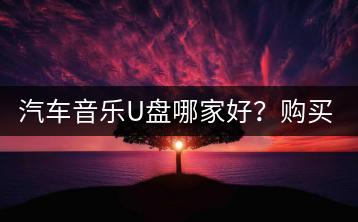 汽车音乐U盘哪家好？购买时需要注意什么？-千羽学社