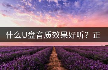 什么U盘音质效果好听？正版专辑一般在哪里购买？-千羽学社