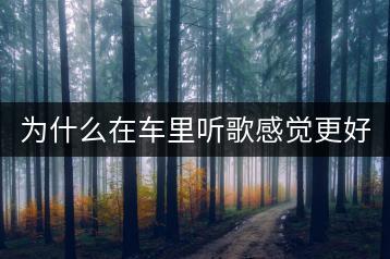 为什么在车里听歌感觉更好？是心理作用吗？-千羽学社